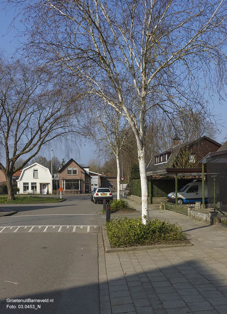 Heden 2015 - De Hensjesweg. - Barneveld